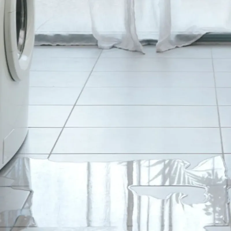 Appliance Leak Cleanup in Waikoloa, HI